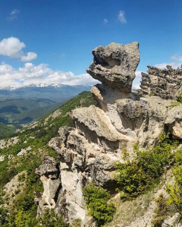 Příroda nedaleko aparthotelu