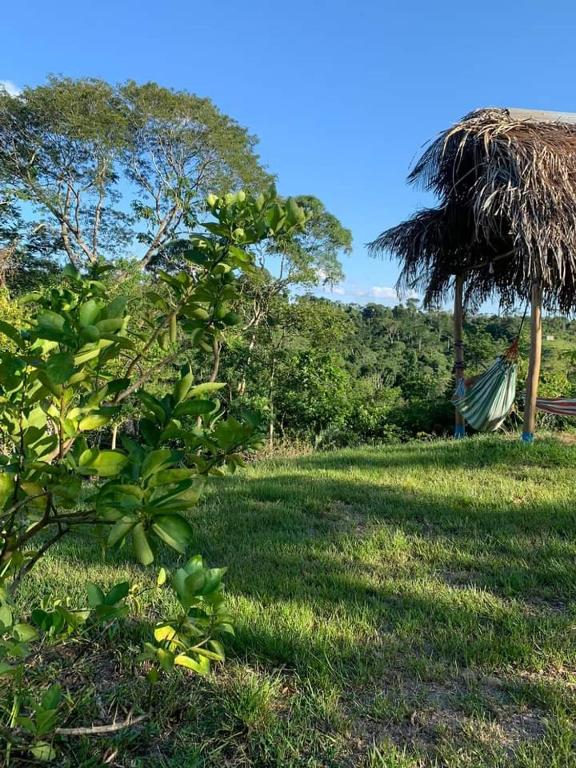 CHOCLINO ECOLODGE -Bungalows con Piscina privada, Mirador y Tours en la selva