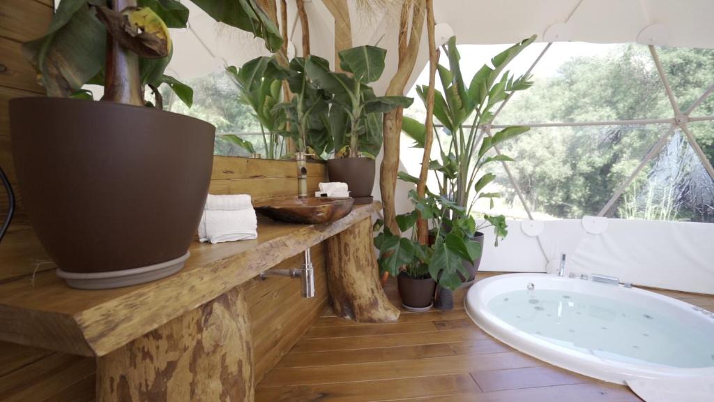 Koupelna v ubytování Domo Suites Masía Cal Geperut