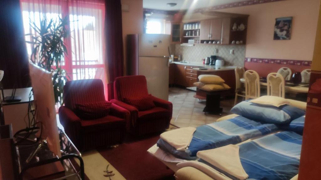 salon z 2 łóżkami i kuchnią w obiekcie Tommy Apartman w Hajduszoboszlo