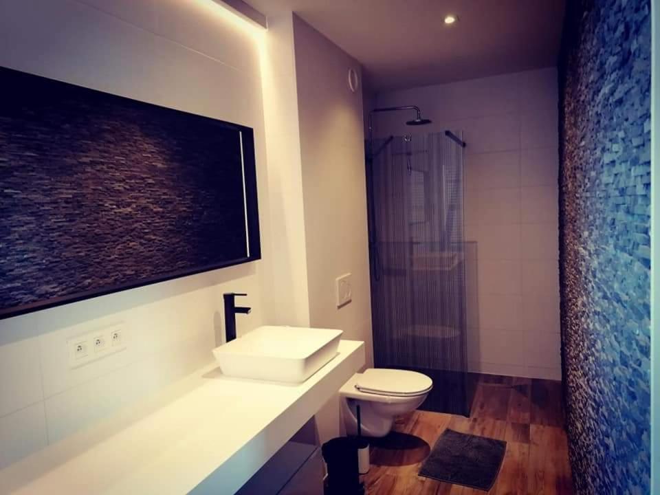 ein Bad mit einem WC, einem Waschbecken und einer Dusche in der Unterkunft Maison comfortzone met jacuzzi 