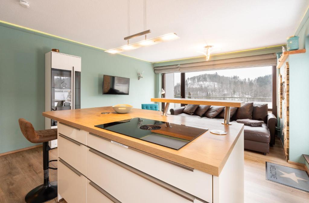 TV a/nebo společenská místnost v ubytování Penthouse Falkennest