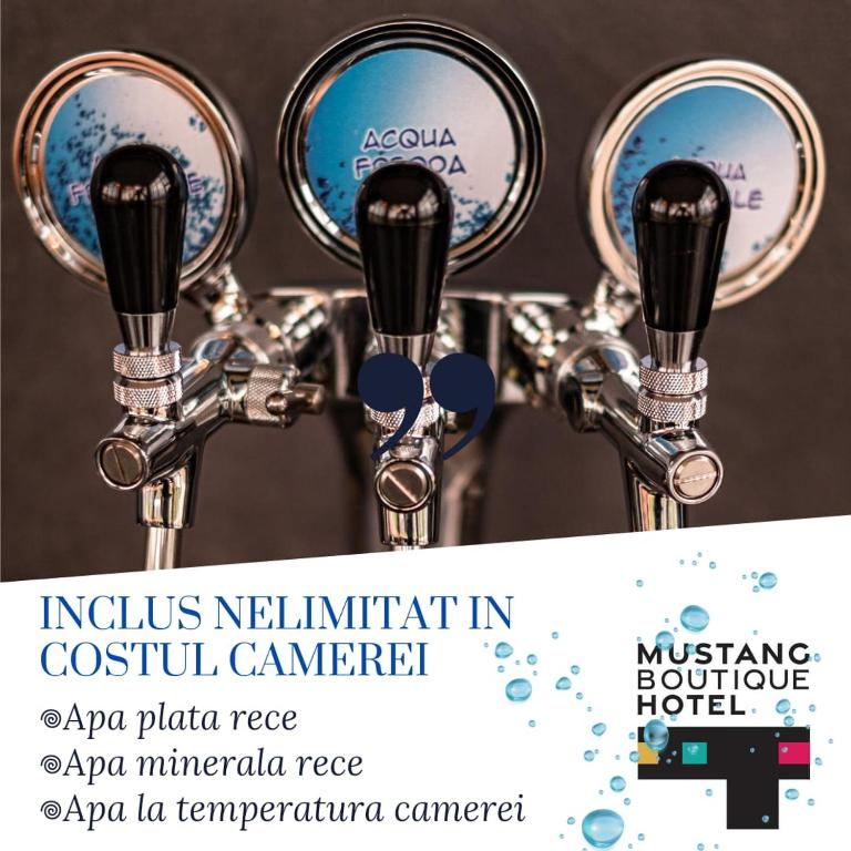 Mustang Boutique Rooms - Resim 11