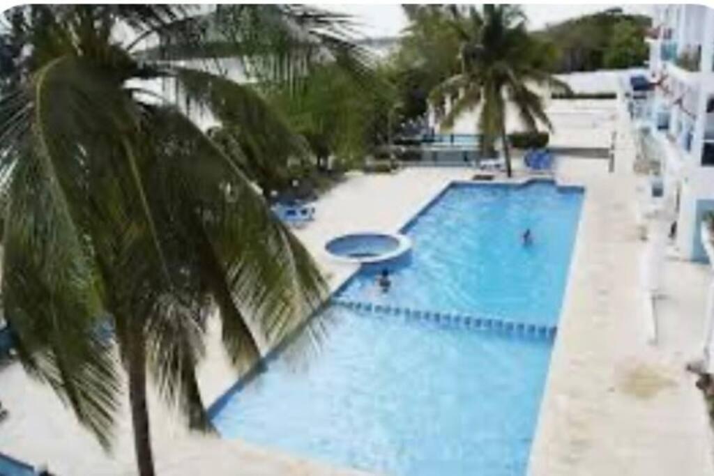a large swimming pool with a palm tree in the foreground at Dream Village Boca Chica frente a la playa in Boca Chica