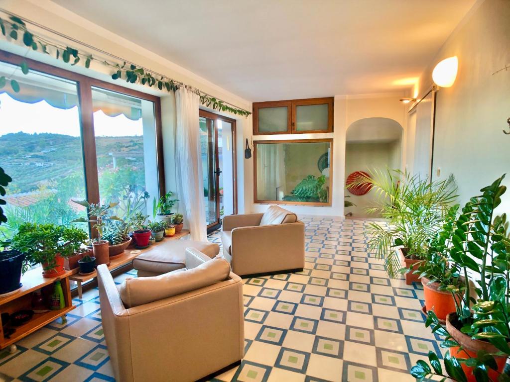 un salon rempli de nombreuses plantes dans l'établissement La Casa de Bonela, à Casarabonela
