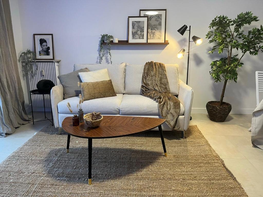 Ruang duduk di PALAIS ROYAL - Appartement tout confort