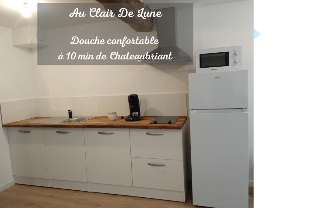 的住宿－NEUF Au Clair De Lune - Dormir Comme A La Maison，厨房配有白色橱柜和白色冰箱。