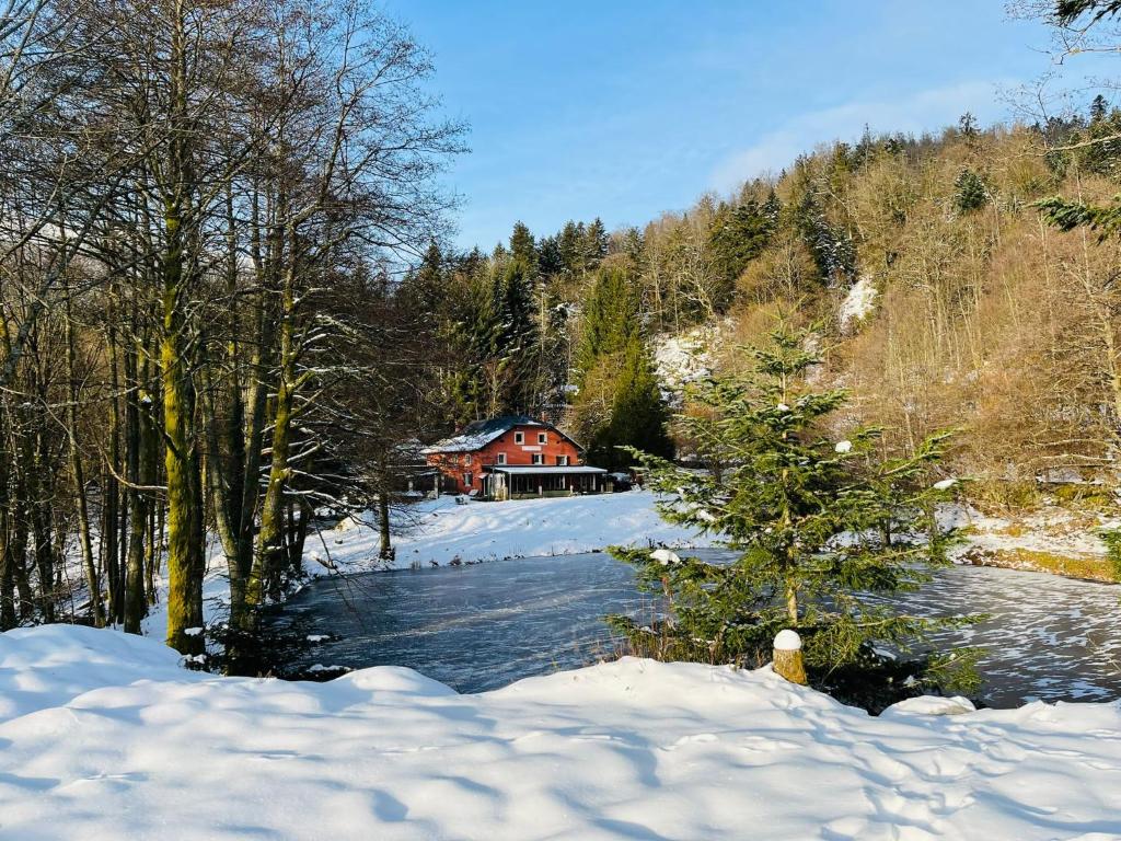 Příroda nedaleko apartmánu