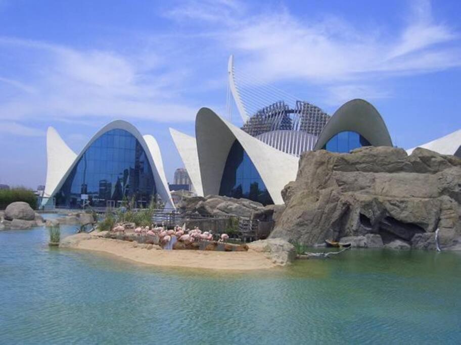Pequeño Loft en Ruzafa wifi, Valencia – Precios actualizados 2023