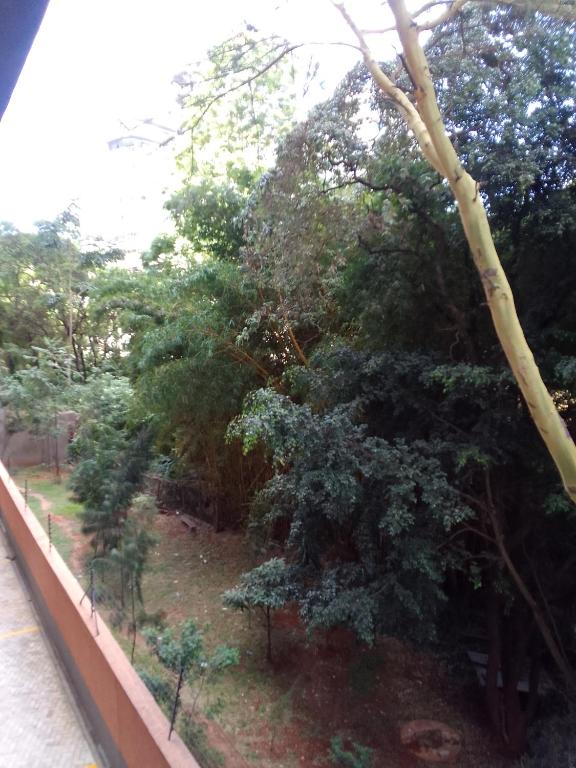 a view of a forest of trees from a window at Smarts residence in Nairobi