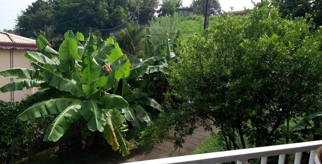 Zahrada ubytování CHARMANT HAUT DE VILLA AVEC PISCINE PARTAGEE