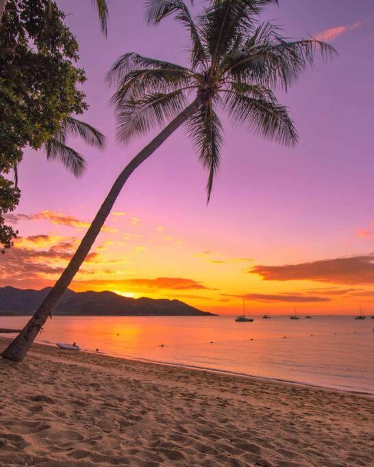 una palma su una spiaggia al tramonto di Jikinerita Homestay a Nelly Bay