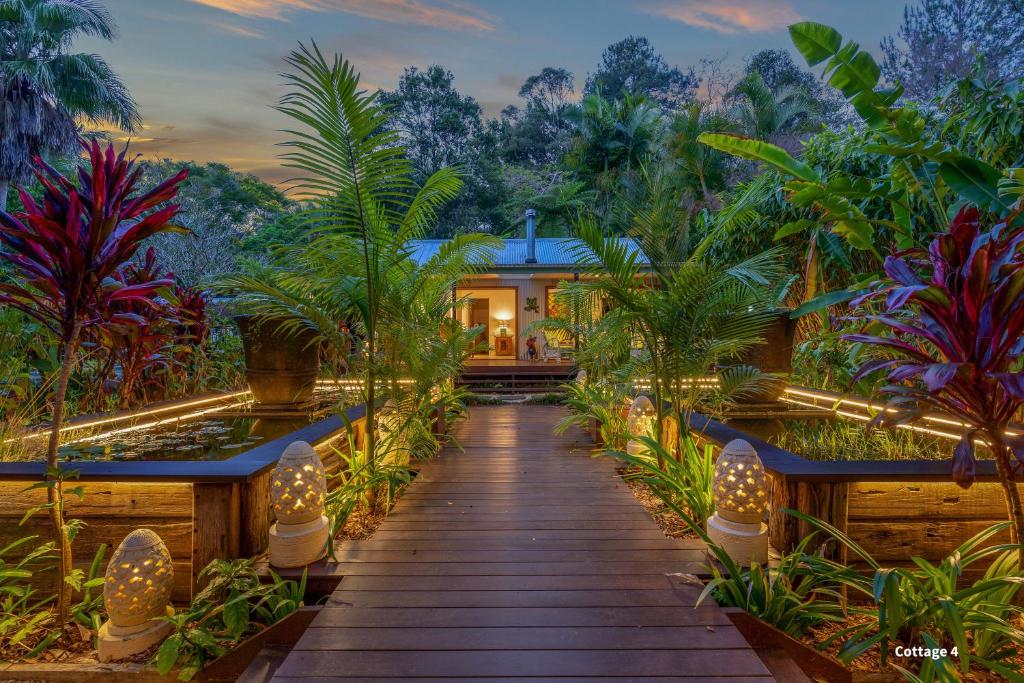 a house in the jungle with a wooden walkway at Sanctuary in The Pocket in The Pocket