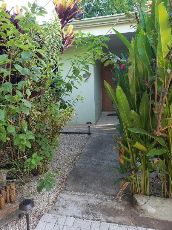 Zahrada ubytování Cote Pacific Casitas