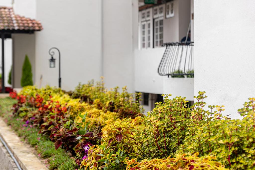 Zahrada ubytování SPRINGHILL RESORT