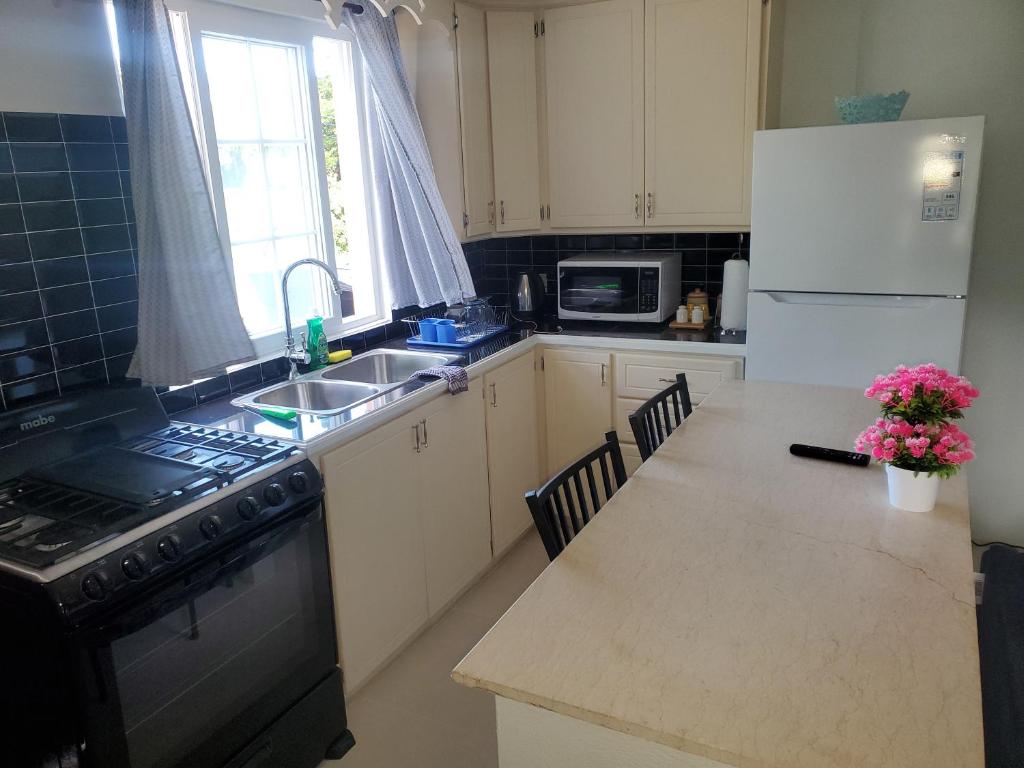 Kuchyň nebo kuchyňský kout v ubytování Paradise Living Apartment