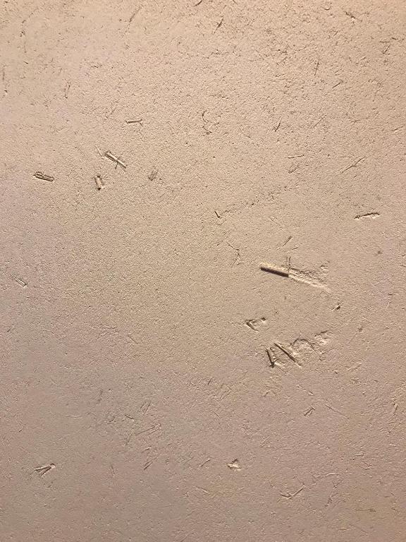 a beige wall with footprints in the sand at 檸檬草ー奄美の自然の香る宿ー in Amami