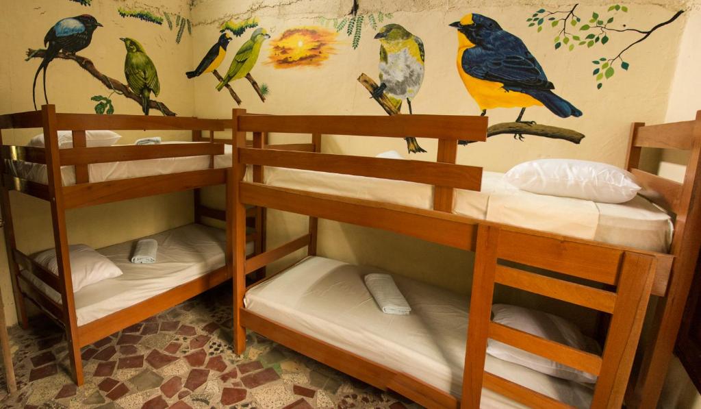 Estación Biológica Agualí - Single Bed In Dormitory Room
