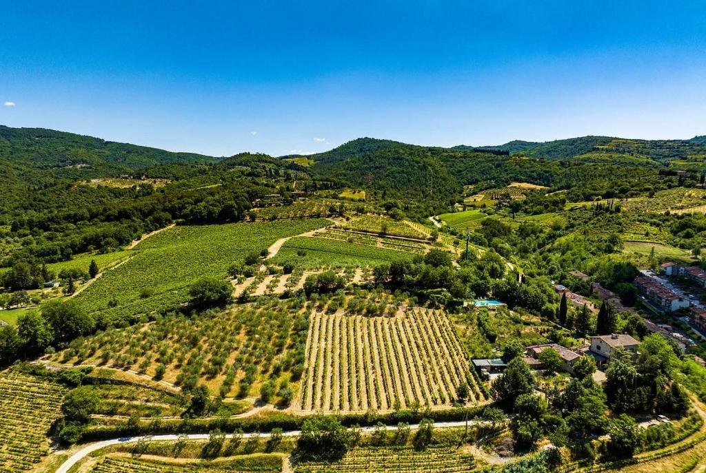グレーヴェ・イン・キアンティにあるPodere Campriano Wineryの山を背景にしたブドウ畑の空中風景
