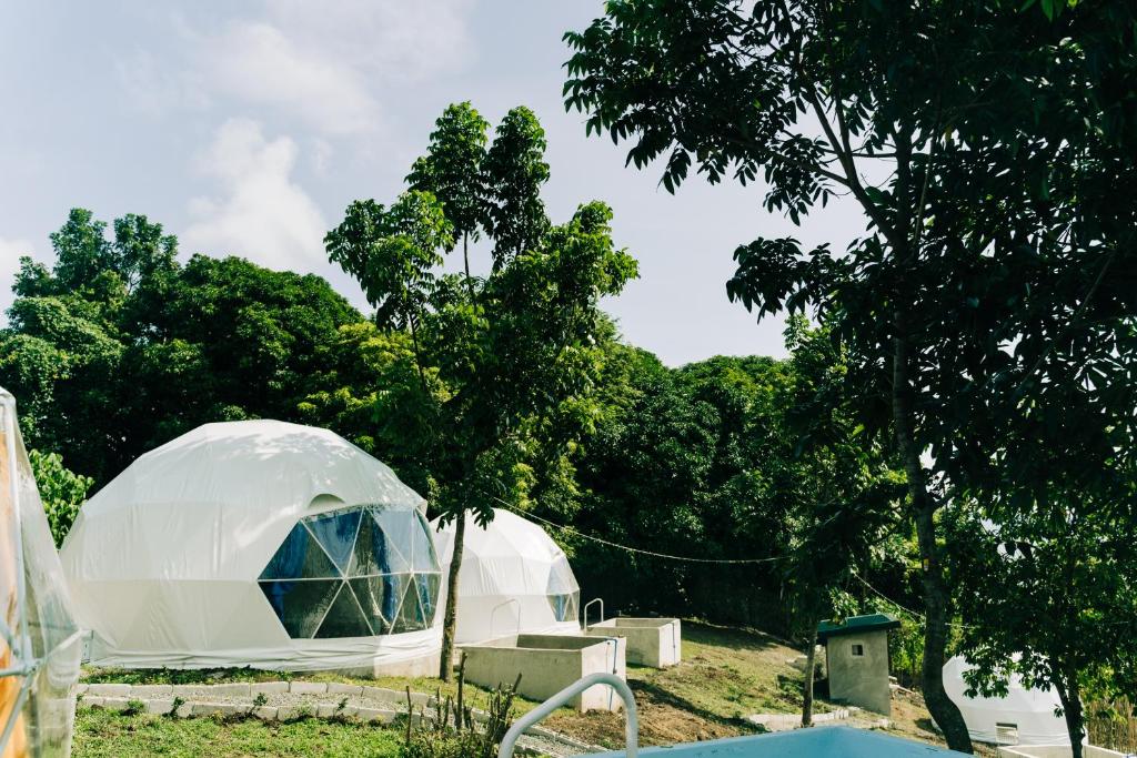 uma grande tenda de cúpula branca num campo com árvores em Group Dome Glamping w/ Private Hotspring 