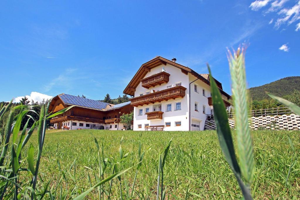 un bâtiment avec une pelouse devant lui dans l'établissement Niederhaeusererhof, à Falzes