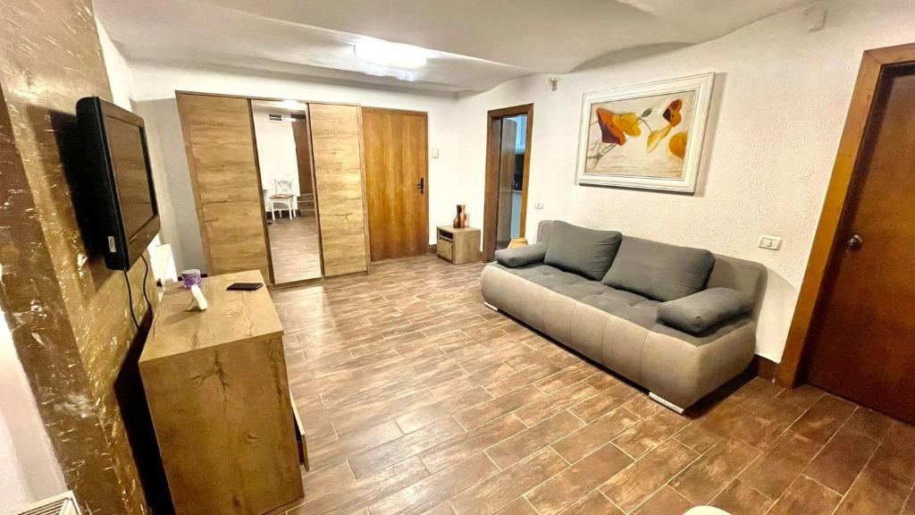 een woonkamer met een bank en een televisie bij Ultracentral Apartment in Arad