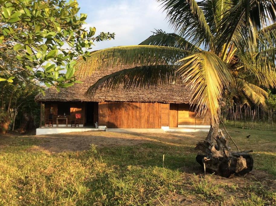 małą chatę ze słomianym dachem i palmą w obiekcie Beach front Cottage w mieście Mahambo