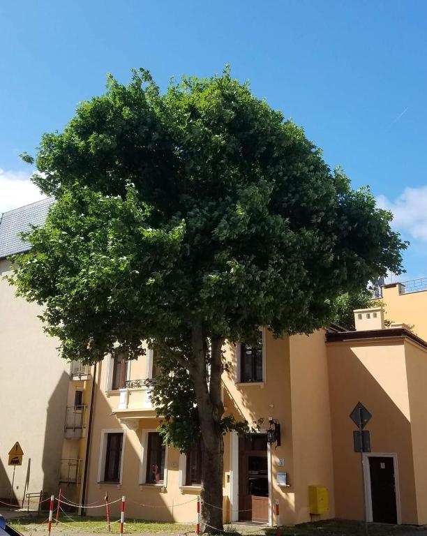 Budova, v ktorej sa apartmán nachádza
