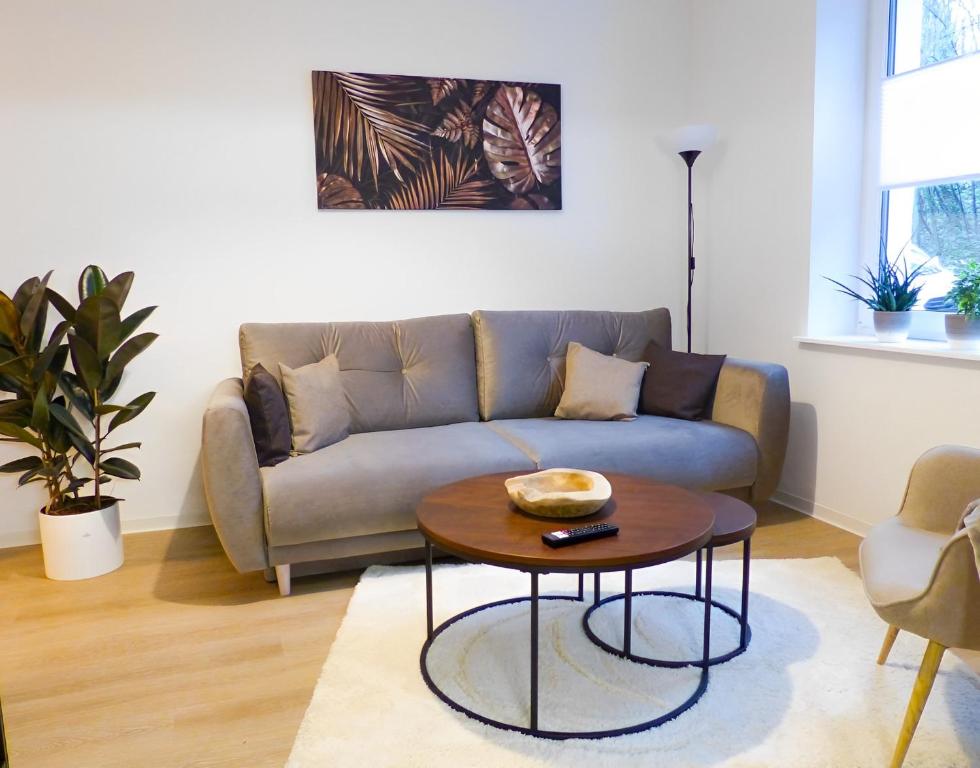 Posezení v ubytování Modernes Apartment mit Queensize-Bett, NETFLIX, Küche, Erdgeschoss, Nähe AMEOS Klinik