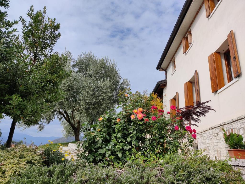 Vonkajšia záhrada v ubytovaní Casa Dolce Casa
