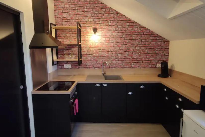 - une cuisine avec un évier et un mur en briques dans l'établissement Superbe studio en résidence rue de courcelles, à Arbois