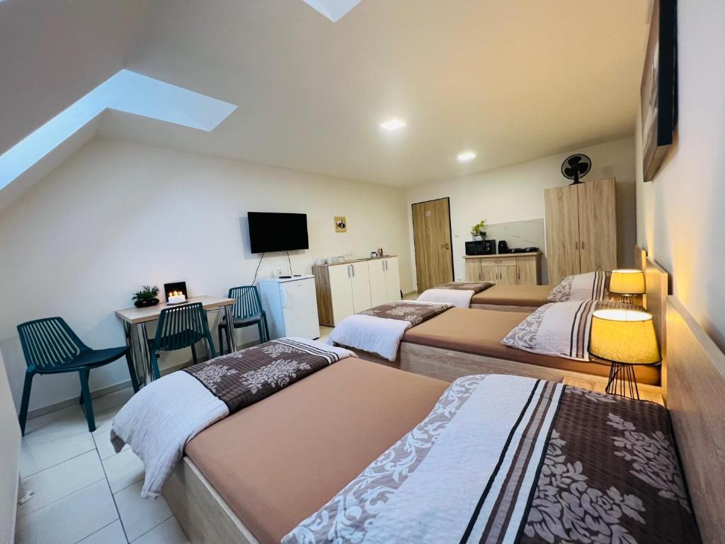 Ubytování Zátiší Olomouc - 14