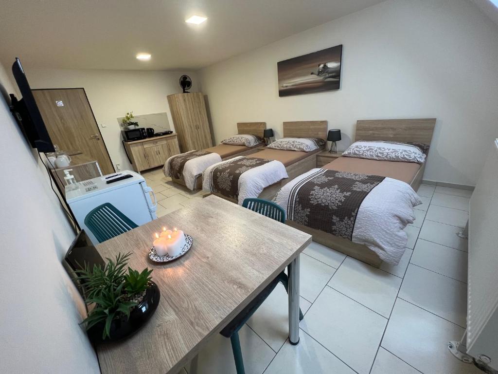 Ubytování Zátiší Olomouc - 9