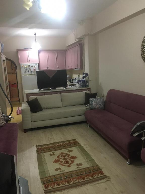 uma sala de estar com dois sofás e uma cozinha em Termal house em Termal