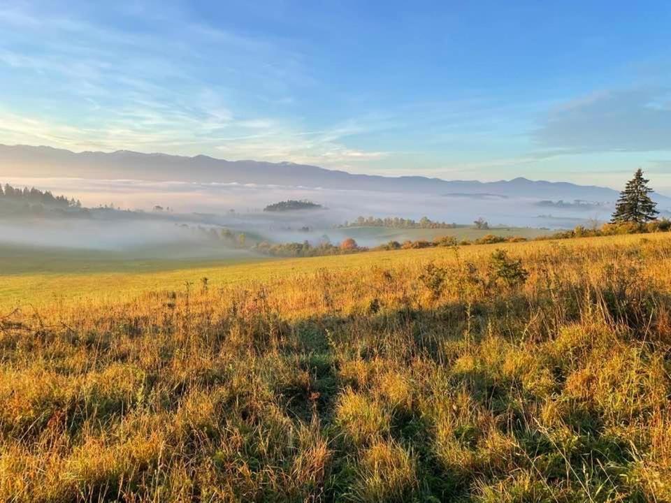Příroda nedaleko apartmánu