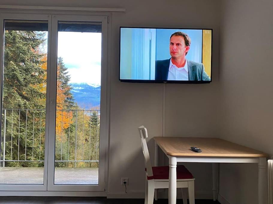 TV a/nebo společenská místnost v ubytování Beautiful flat with nice lake and mountain views