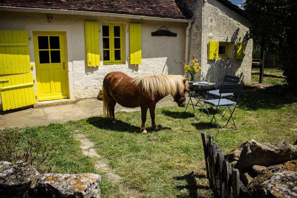 un caballo parado frente a una casa con puertas amarillas en Gîte de la Lioterie en Maillet