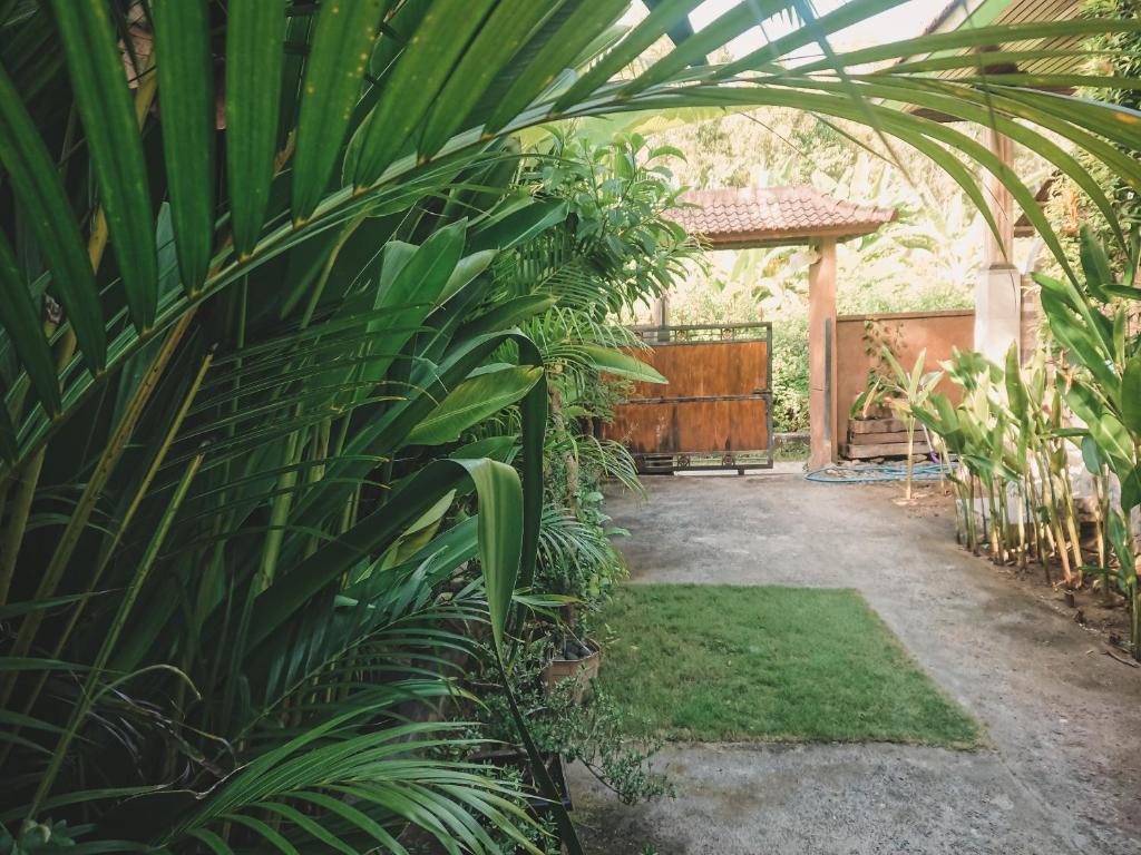 The Cozy Bidara Nusa Penida - 8