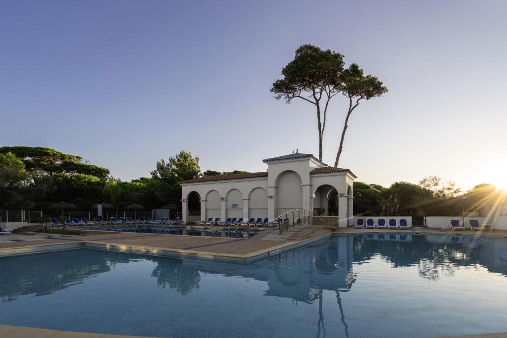 a pool with chairs and a building with a tree at Belambra Clubs Presqu&#39;île De Giens - Riviera Beach Club in Hyères