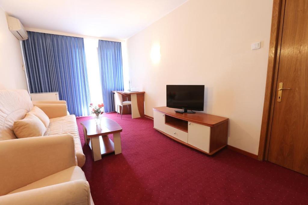 TV a/nebo společenská místnost v ubytování Hotel Doina