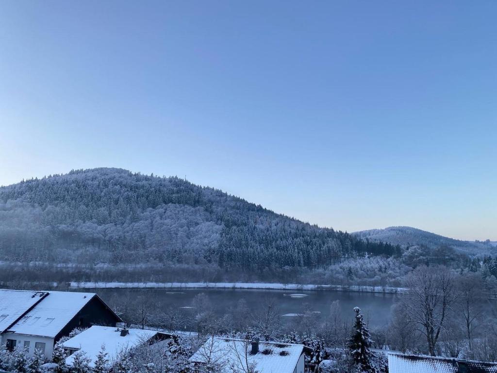 een met sneeuw bedekt uitzicht op een meer en een huis bij Hochheide Lodge in Winterberg