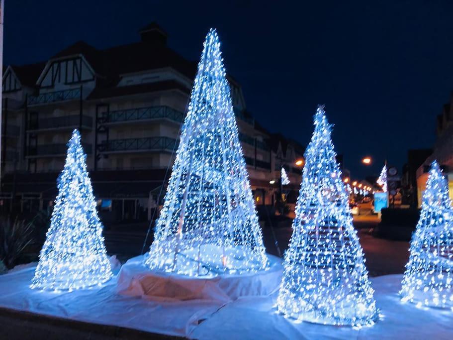 a group of christmas trees lit up at night at Appartement A confortable et lumineux in Neufchâtel-Hardelot