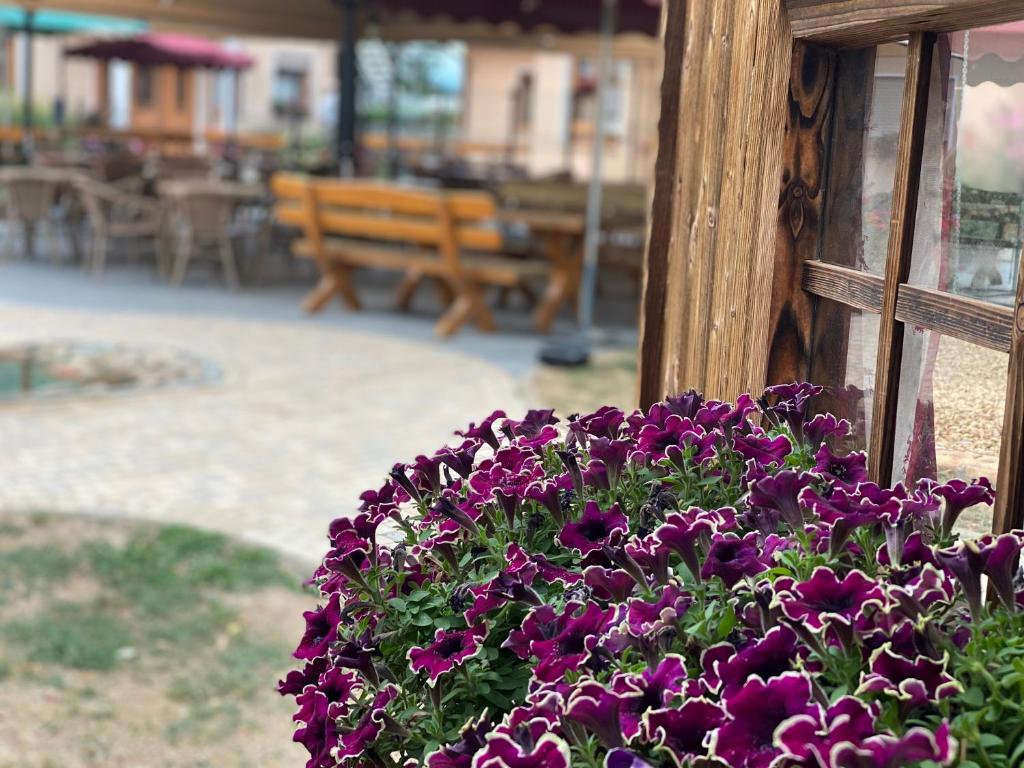 Zahrada ubytování Laupus-Hof