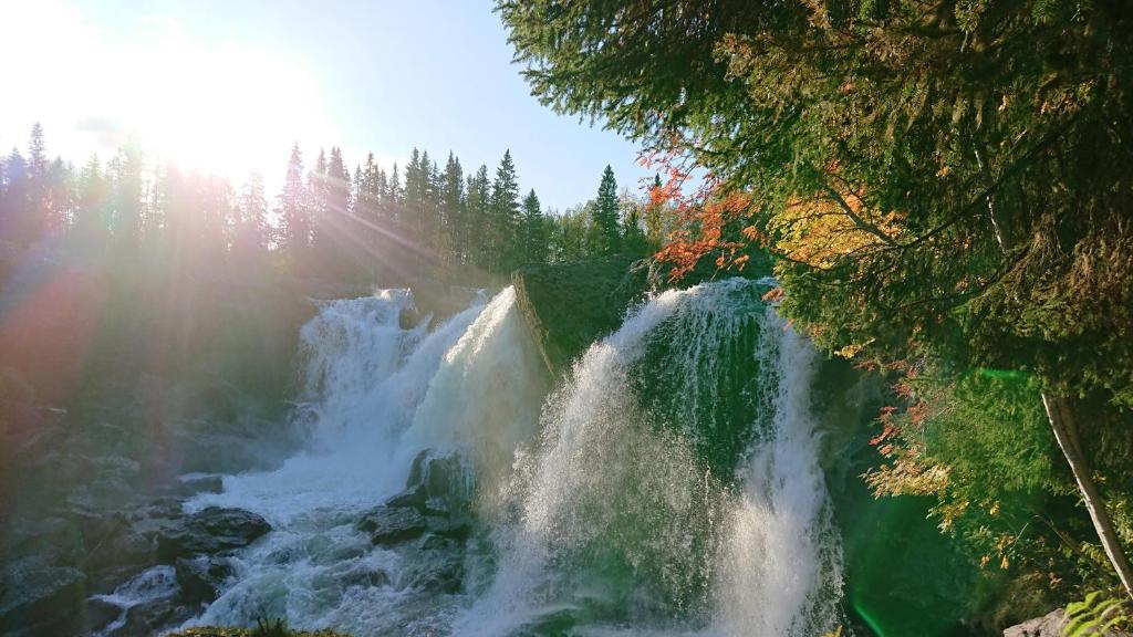 una cascada en medio de un bosque en Ristafallets Camping en Nyland