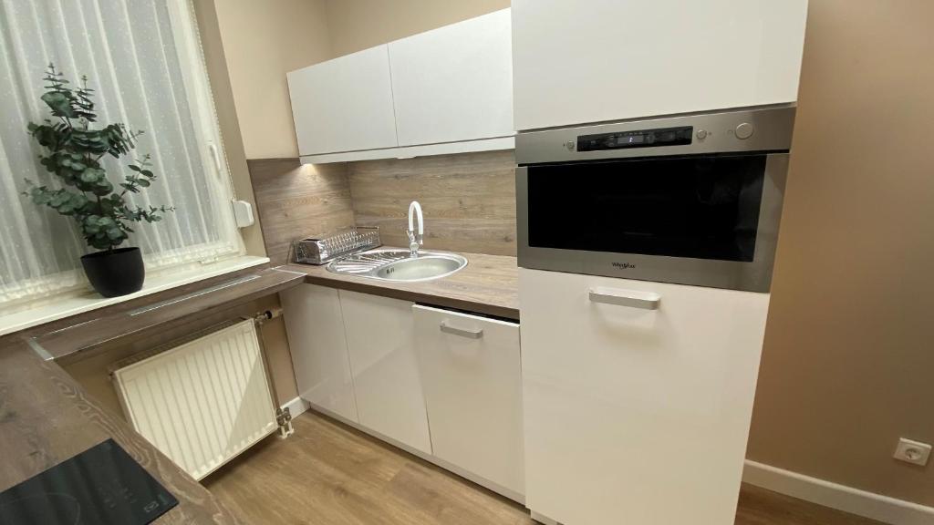Kuchyňa alebo kuchynka v ubytovaní Liget Hévíz Apartman