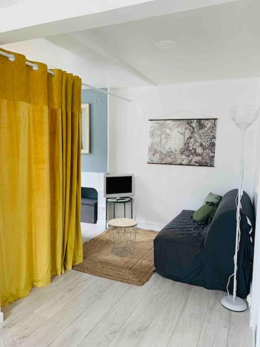 a living room with a bed and a yellow curtain at Superbe appt meublé hyper centre de Gan in Gan