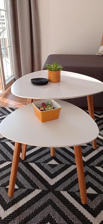 Fotografie z fotogalerie ubytování Apartman Vule v destinaci Vrnjci