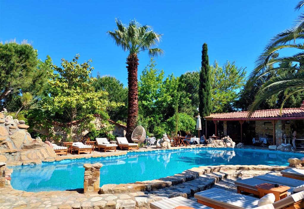 a large swimming pool with lounge chairs and a palm tree at Kemerbag 29 Guest House 12 Yaş Üstü in Bozcaada