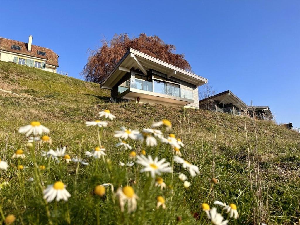 ein Haus auf einem Hügel mit Blumen in der Unterkunft Lodge Glardons in Marin