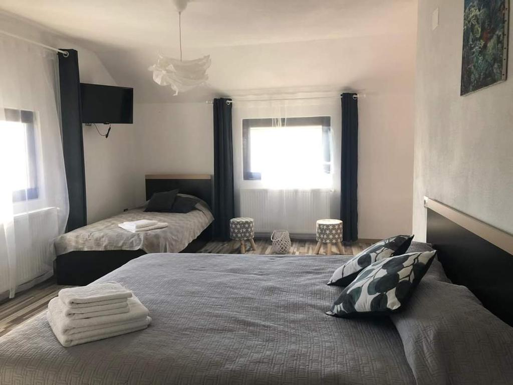 a bedroom with two beds and a window at camere de închiriat livada cu meri in Căpăţîneni-Ungureni